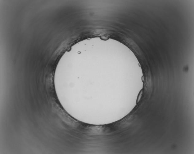 X0000116110473200912211636