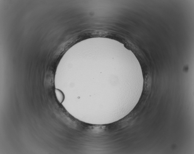 X0000116110474200912211636