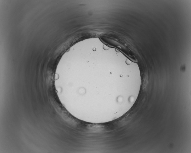 X0000116110476200912211636