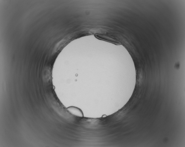 X0000116110478200912211636