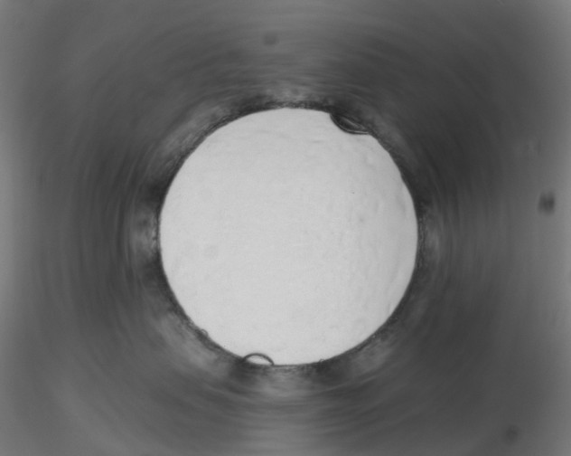 X0000116110479200912211636