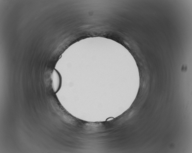 X0000116110480200912211636