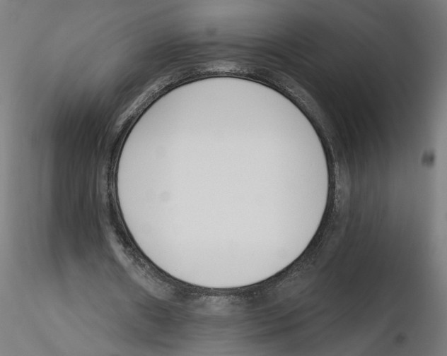 X0000116110482200912211636