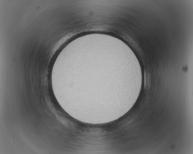 X0000116110483200912211636