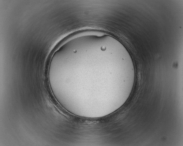 X0000116110484200912211636
