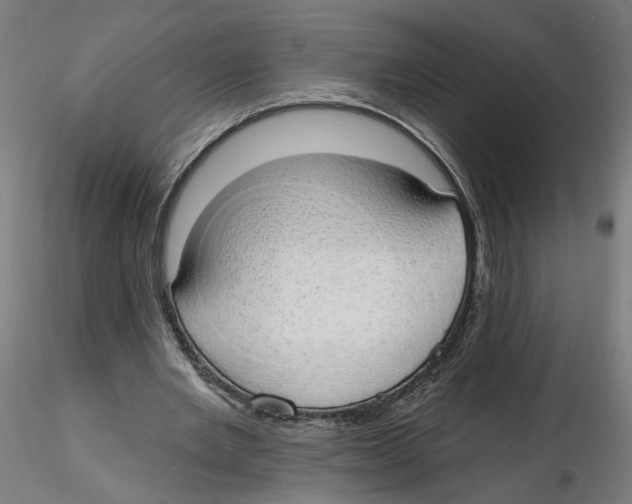 X0000116110485200912211636