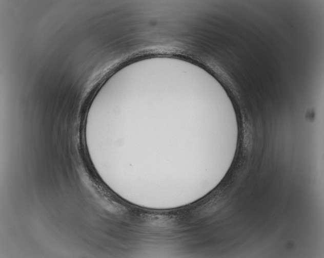 X0000116110486200912211636