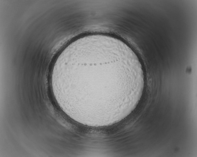 X0000116110487200912211636