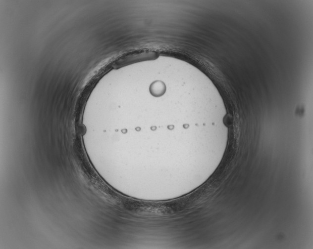 X0000116110488200912211636