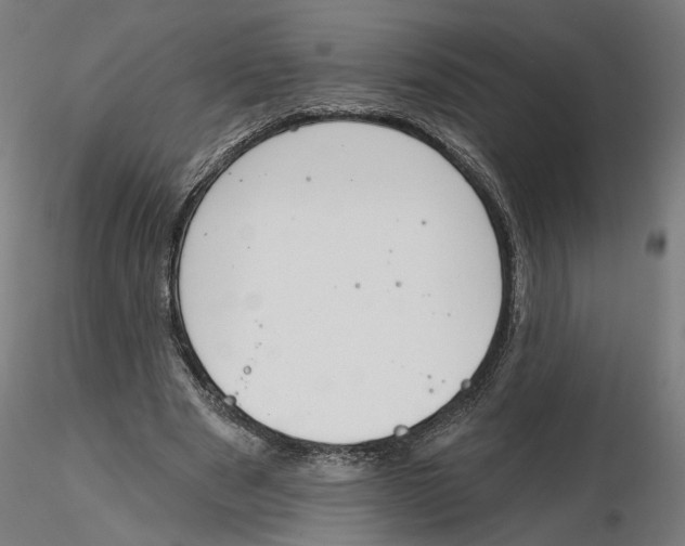X0000116110489200912211636