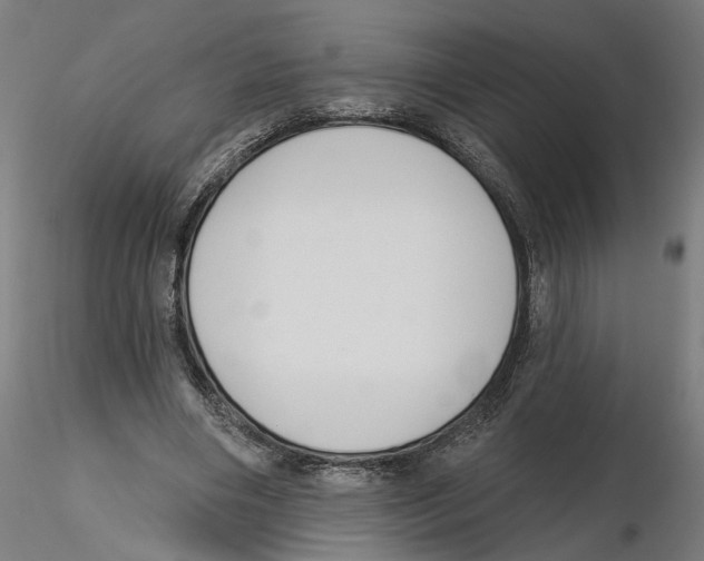 X0000116110490200912211636