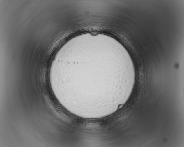 X0000116110491200912211636