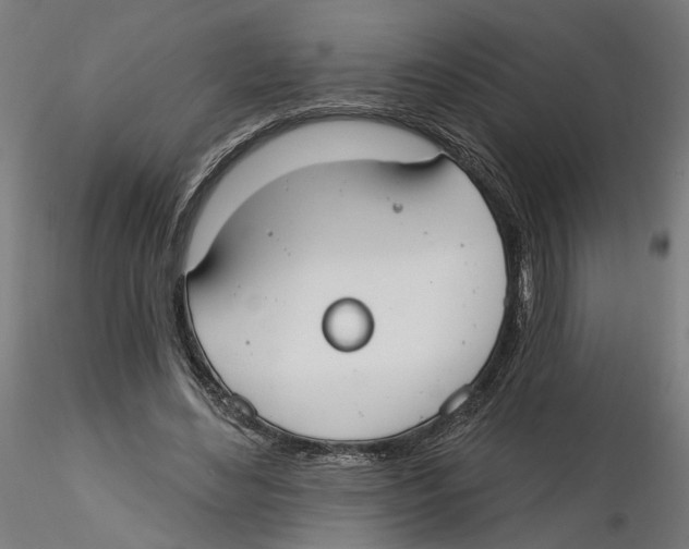 X0000116110492200912211636