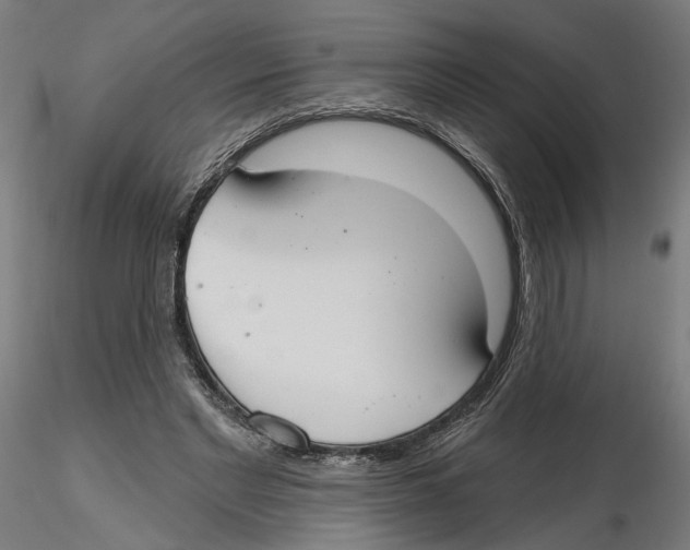 X0000116110493200912211636