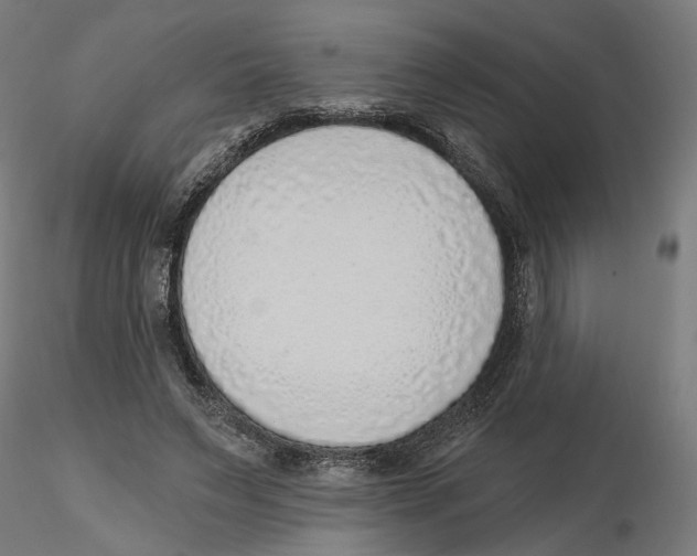 X0000116110495200912211635