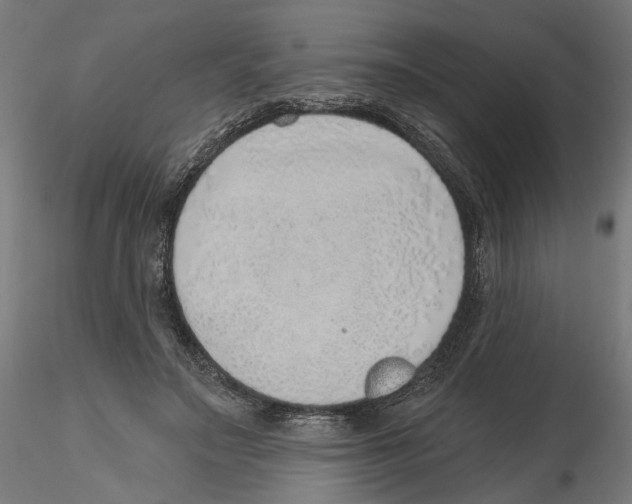 X0000116110499200912211635