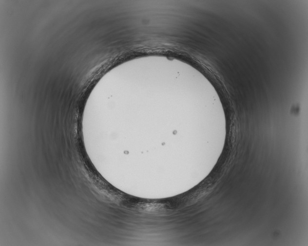 X0000116110501200912211635