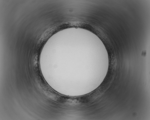 X0000116110502200912211635