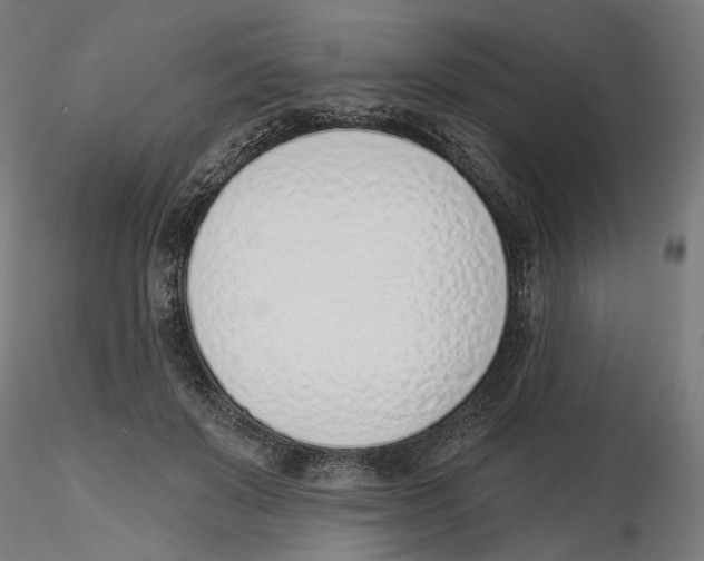 X0000116110503200912211635
