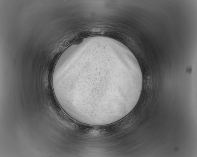 X0000116110504200912211635