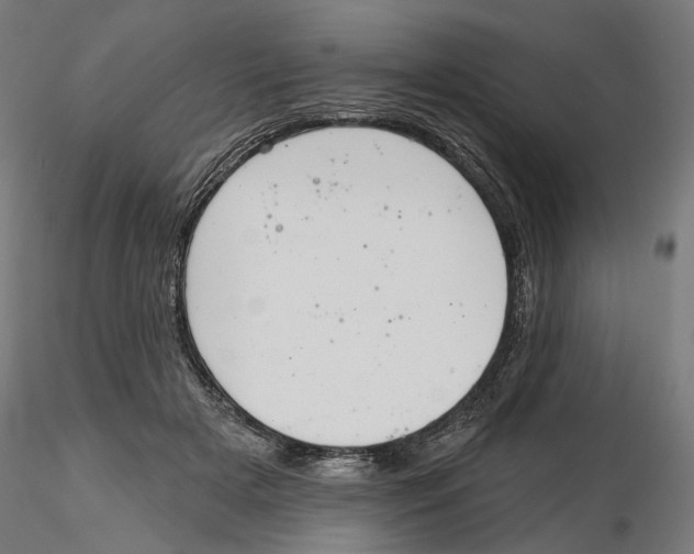 X0000116110505200912211635