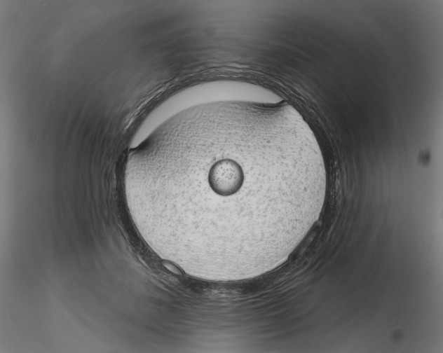 X0000116110508200912211635