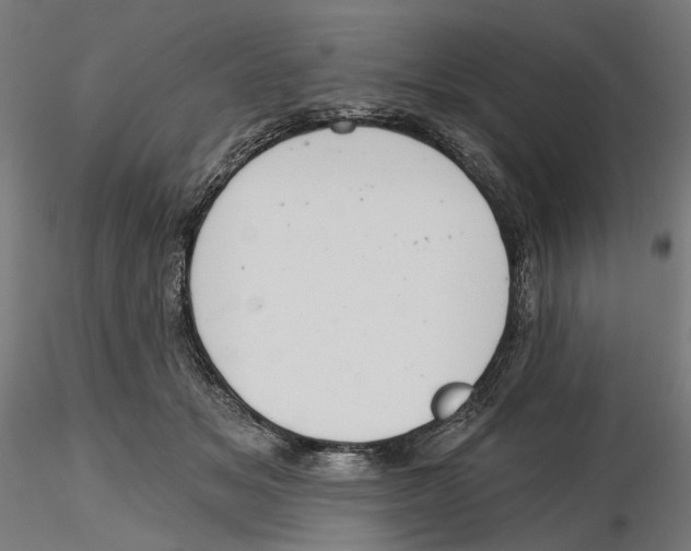 X0000116110509200912211635