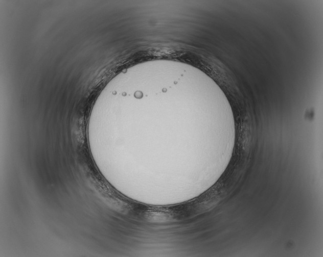 X0000116110510200912211635