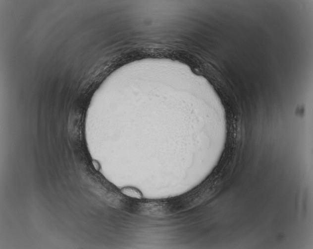 X0000116110511200912211635