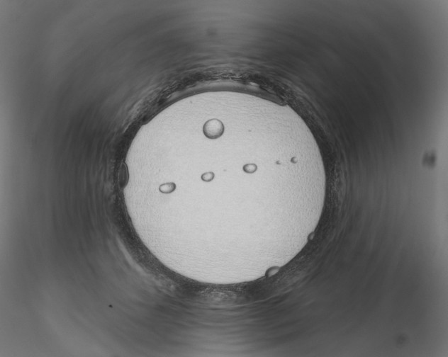 X0000116110512200912211635
