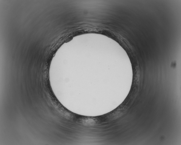 X0000116110513200912211635
