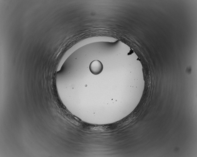 X0000116110516200912211635