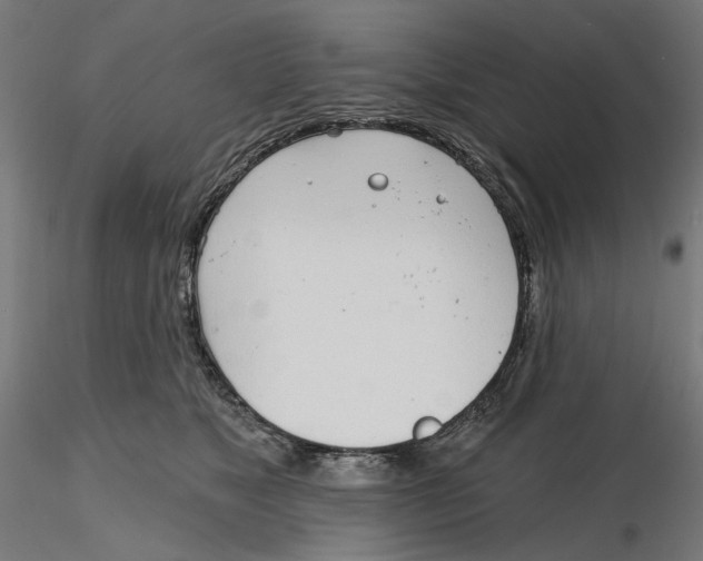 X0000116110517200912211635