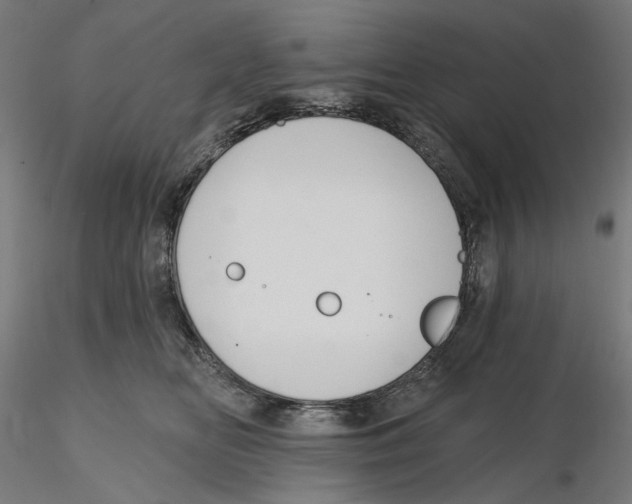X0000116110518200912211635