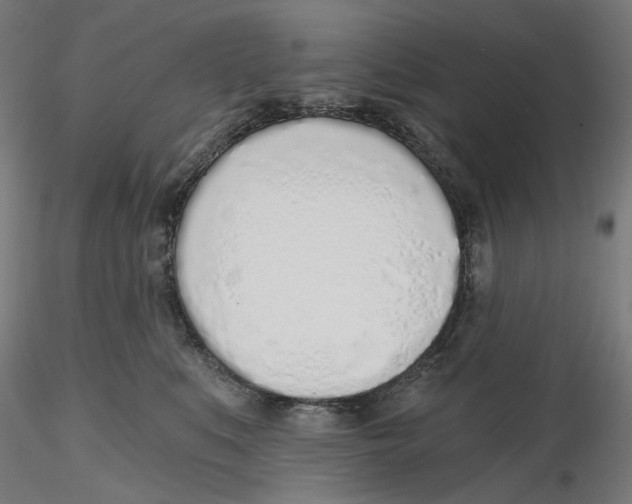 X0000116110519200912211635