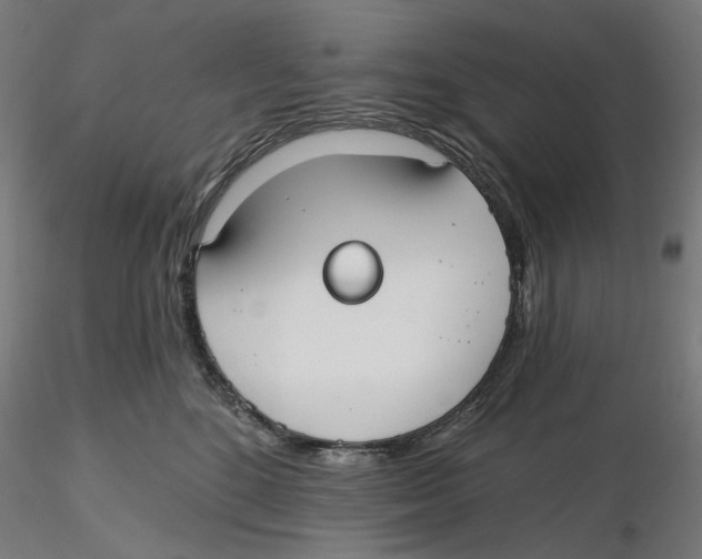 X0000116110520200912211635