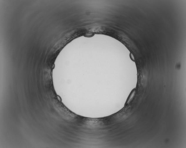X0000116110521200912211635