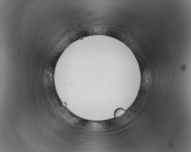 X0000116110522200912211635