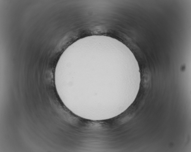X0000116110523200912211635