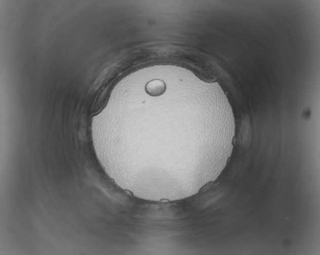 X0000116110524200912211635