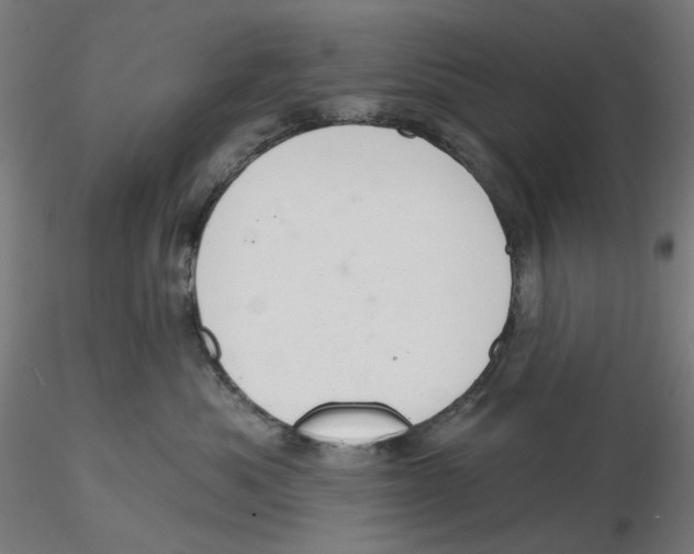 X0000116110525200912211635