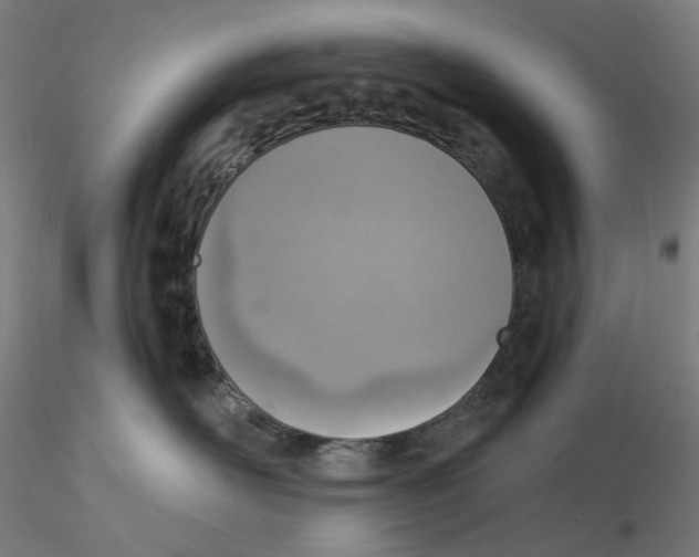 X0000116110526200912211635