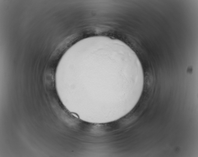 X0000116110527200912211635