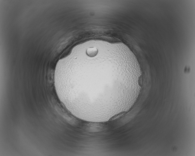X0000116110528200912211635