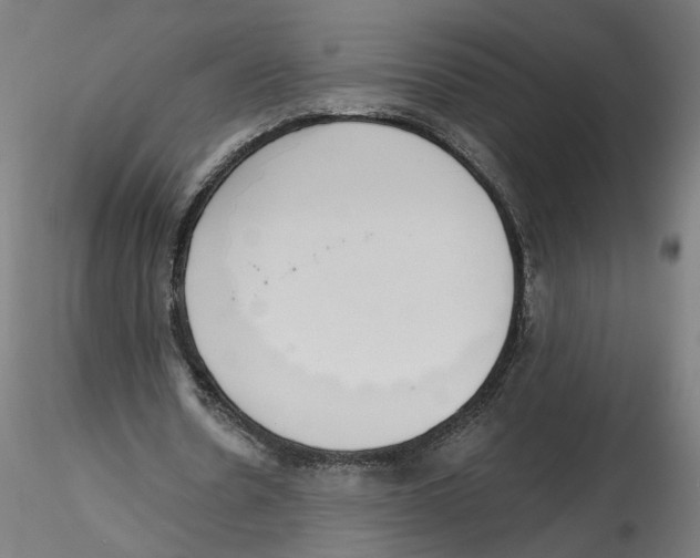 X0000116110530200912211634