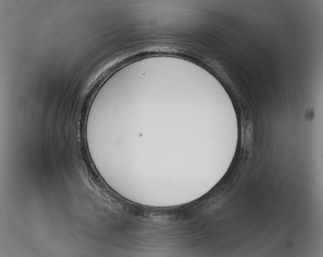 X0000116110531200912211634