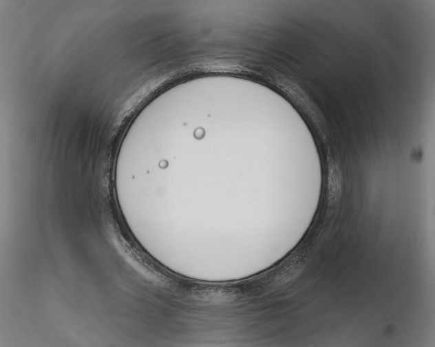 X0000116110533200912211634
