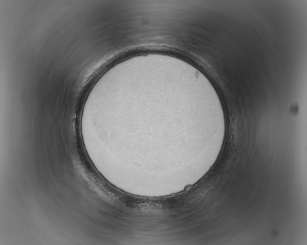 X0000116110535200912211634