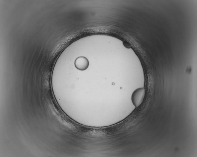 X0000116110537200912211635