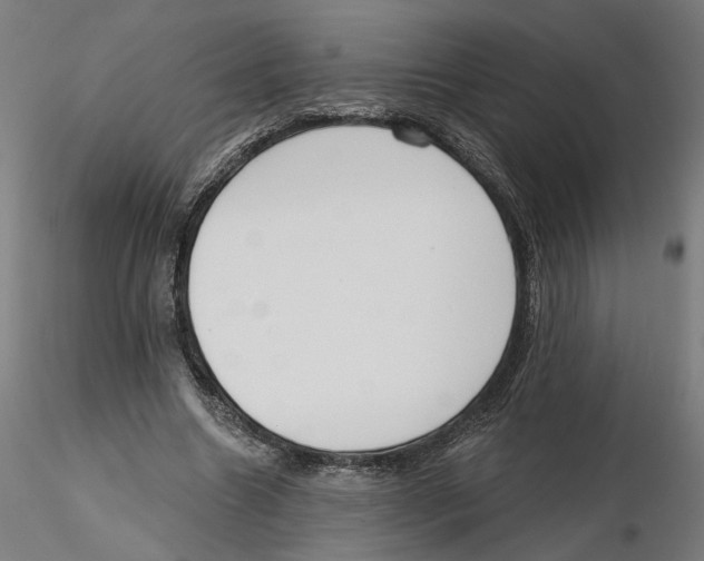 X0000116110538200912211635